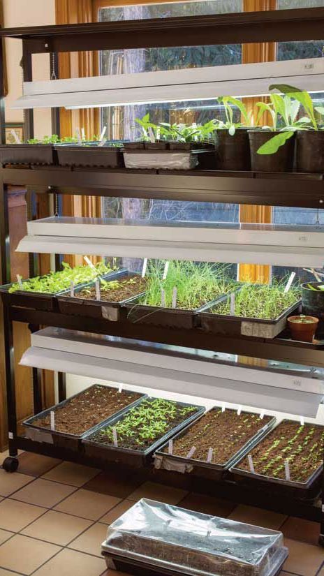 4 ФАКТА О ПОДСВЕЧИВАНИИ РАССАДЫ, о которых вы могли не знать. Как, когда и чем досвечивать рассаду.