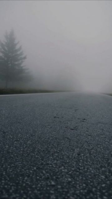 Туман и дорога #приключение #уединение #загадка #тревога