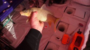 РЫБАЛКА НА КАРПА В -30. РЫБАЛКА С КОМФОРТОМ. ДВА ДНЯ НА ЛЬДУ.