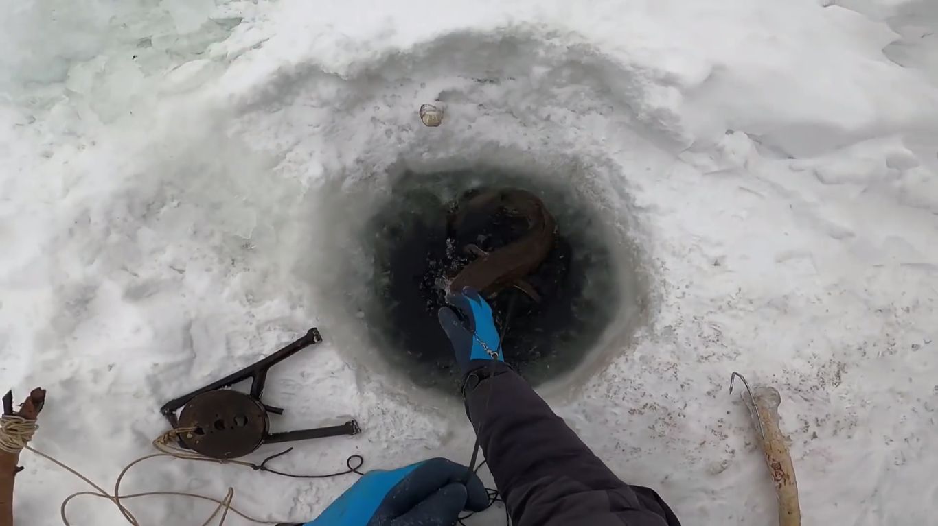 Рыбалка на Енисее. Отчёт с проверки перемётов. 65 смотреть онлайн