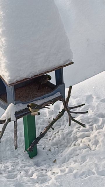 Морозное  утро ❣️ пятницы 06.02.26