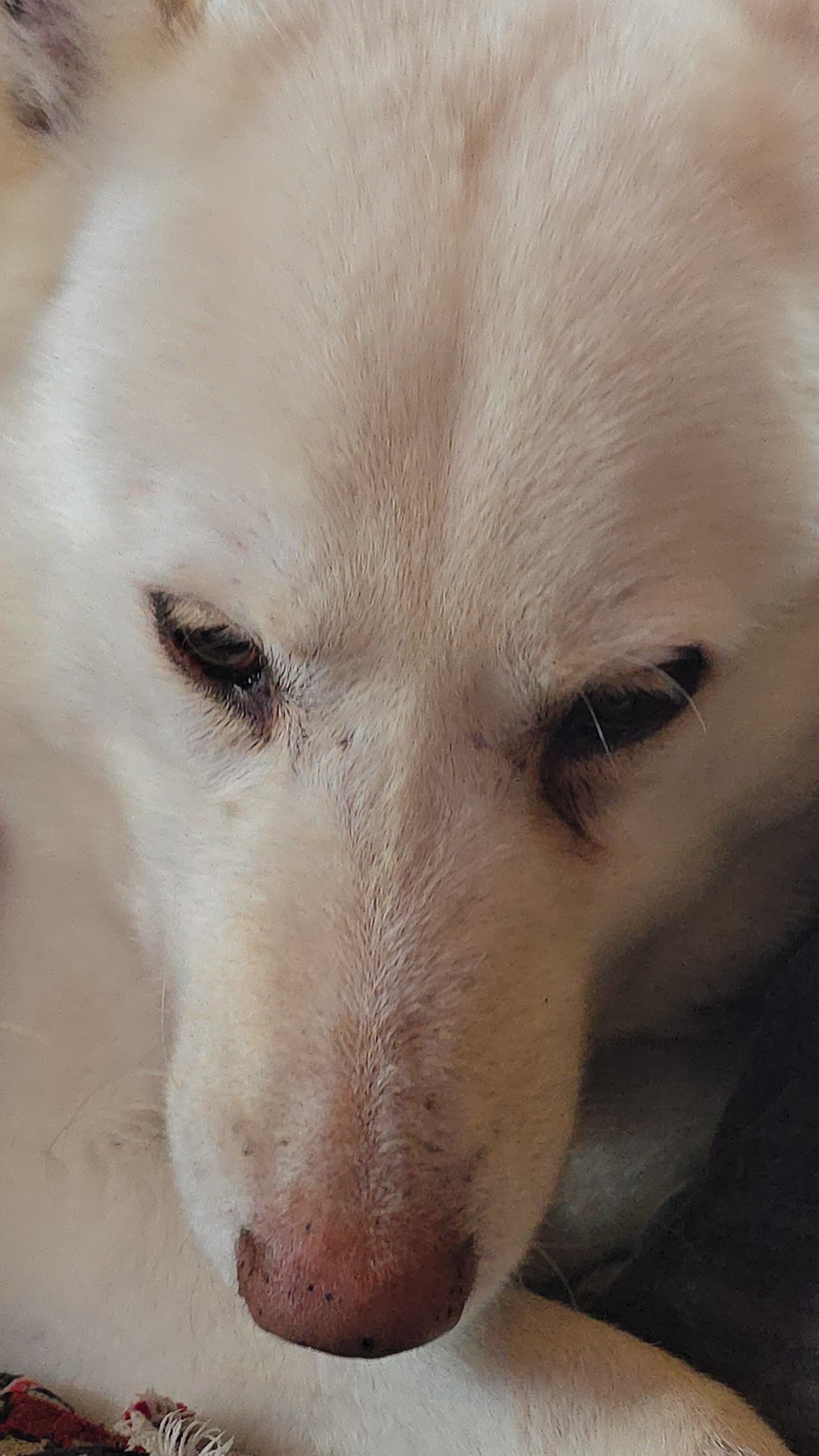 Проверка на Злате