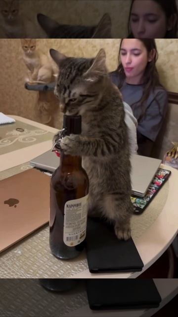 Пьятничька🤤