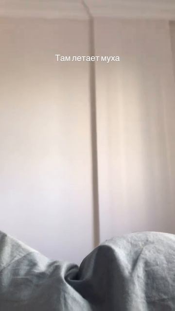 мухолов мухолов