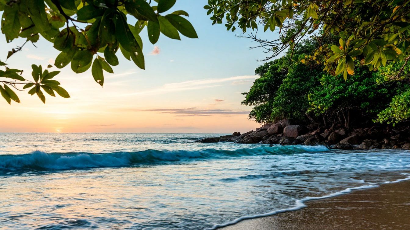 Лунный свет Лунный свет