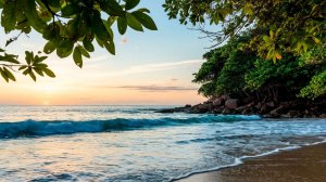 Лунный свет