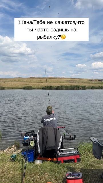 Не кажется же ?😃