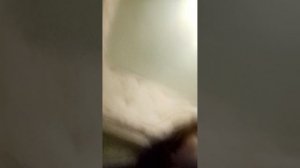 Ребят, что-то ленивое видео вышло, ну ладно, в опис там вопросы ⬇️⬇️⬇️, пишите ответы в коммах. ⬆️⬆️