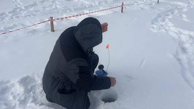 06-02-2026 смотреть онлайн