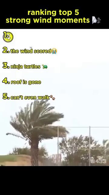 ranking top 5 strong wind moments 🌬. the last one is so funny😂#shorts смотреть онлайн