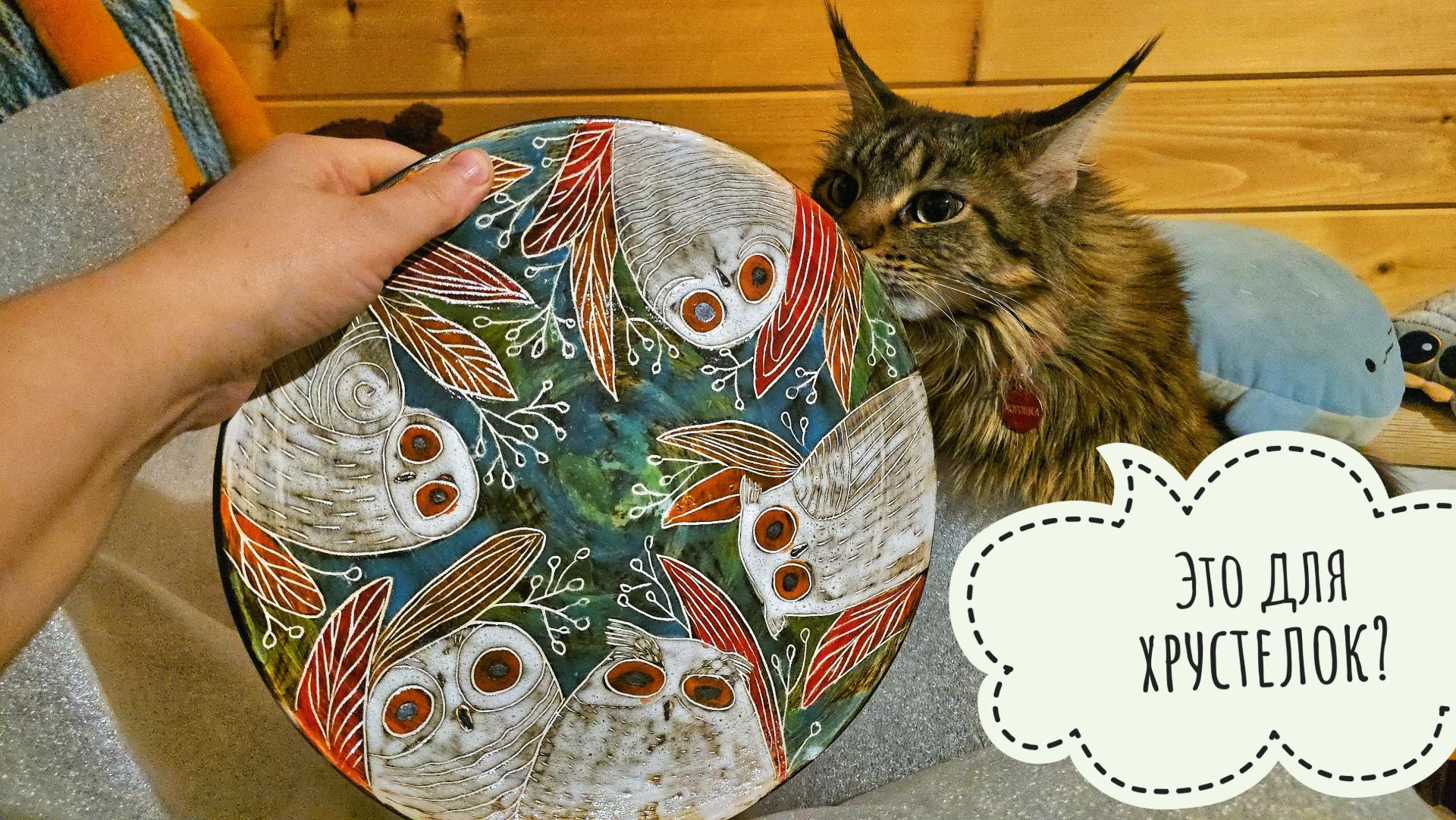 Сыч Лучик следит за совами сплюшками. Распаковка волшебной керамики от Христины Григорьевой смотреть онлайн