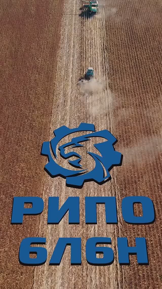 Измельчение подсолнечника РИПО 6Л6H . Наглядный результат ! #shorts #агротехника #фермер #shrots