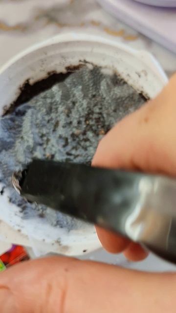 Анютины глазки 🤣сею в Феврале ✅