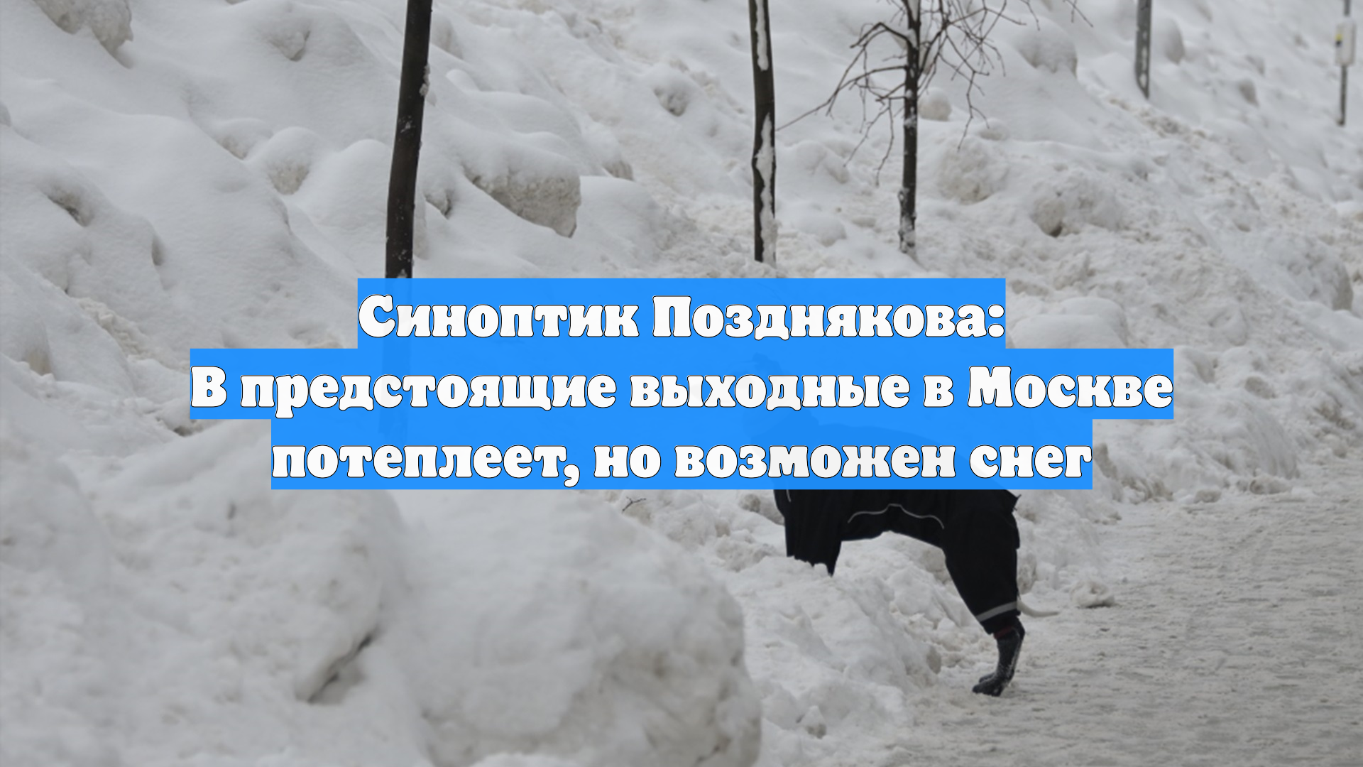 Синоптик Позднякова: В предстоящие выходные в Москве потеплеет, но возможен снег смотреть онлайн