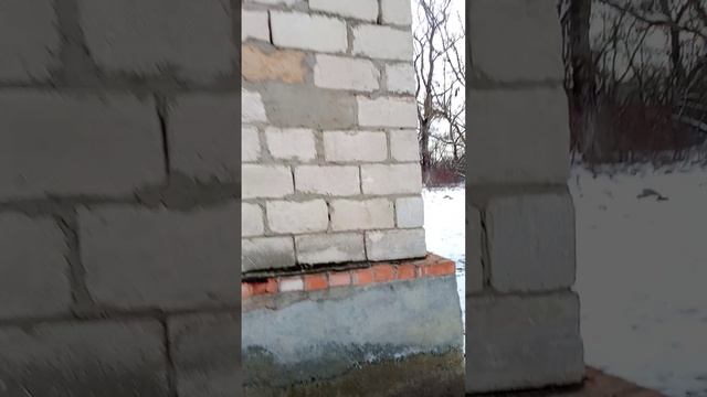 1000054516.mp4 смотреть онлайн