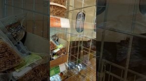 2026.02.05 Мы снова в магазине ДА. А бомжу в этот раз купили сигареты. Но это снимать не стали.