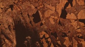 В Нижегородском художественном музее начала работу выставка Е. Кравцова под названием «Коррозия»