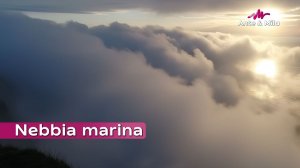 Ante & Mila - Nebbia marina