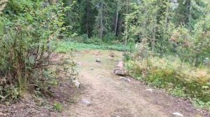 Спуск с горы в город ☀Солнца 18.08.24.