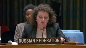 Statement by Anna Evstigneeva at UNSC Briefing on UN Police, February 5, 2026
