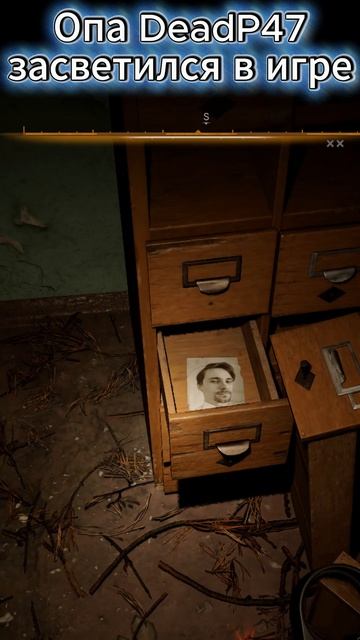 STALKER 2 Heart of Chornobyl: Внезапно, фотография DeadP47 в игре. #shorts #сталкер #stalker2 смотреть онлайн