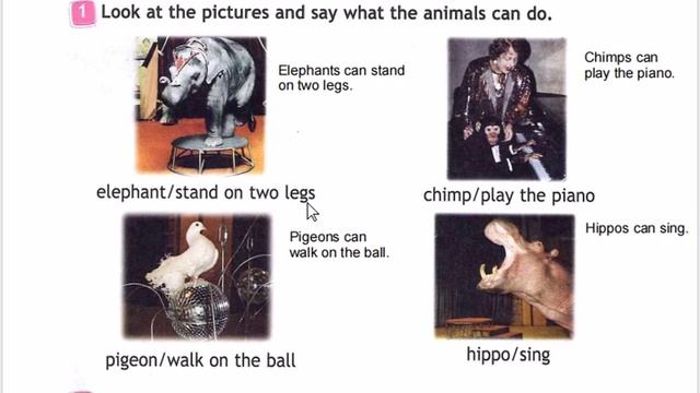 SPOTLIGHT 3 учебник 2 часть страница 76 (146) смотреть онлайн