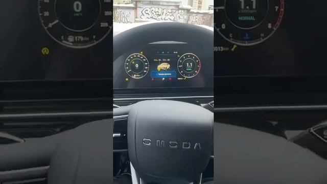 СМОТРЯ ЭТИ РОЛИКИ ЗА ОМОДУ ПОНИМАЕШЬ ЧТО ТАКОЙ АВТОМОБИЛЬ ЛУЧШЕ НЕ ПОКУПАТЬ