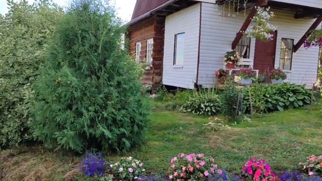 Променад по городу ☀Солнца 17.08.24