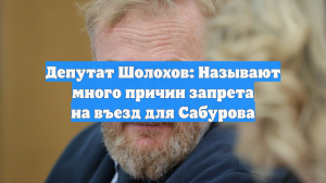 Депутат Шолохов: Называют много причин запрета на въезд для Сабурова
