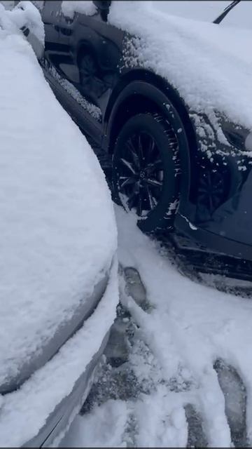 Получили в кратчайшие сроки с аукциона автомобиль нашего клиента