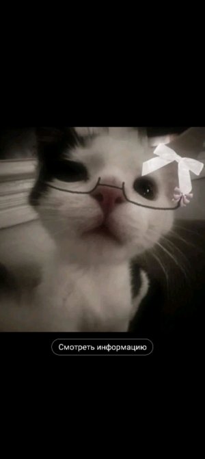 ♡☆❤🌺🌹☺️🌸💕💗💖🎀