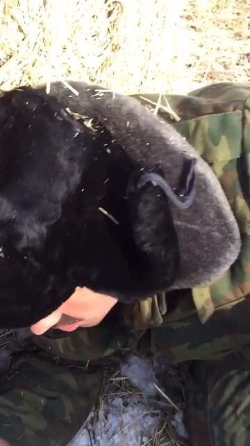 а-вас-батя-часто-просит-помочь-рекомендации-приколысбатей-батя