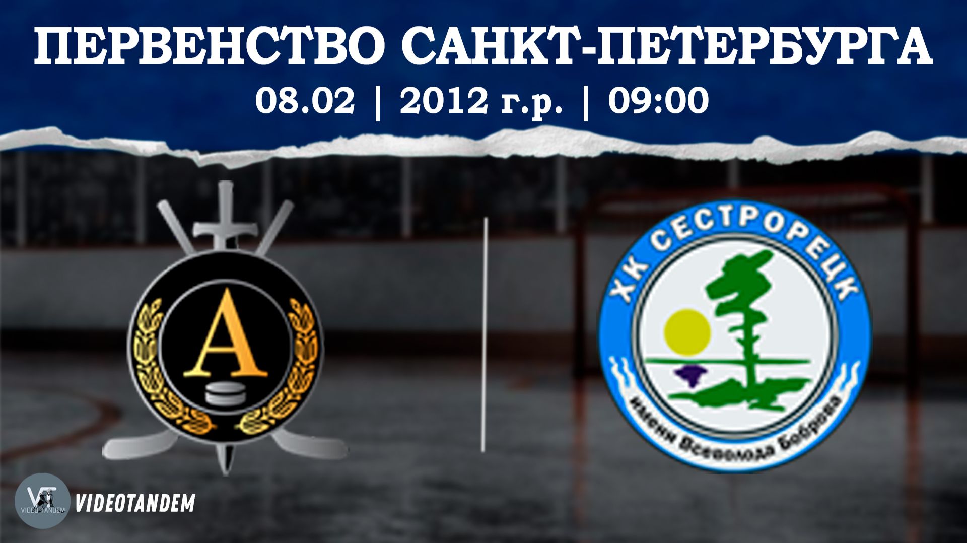 Альфа 12 — Сестрорецк 12 / 08.02.2026