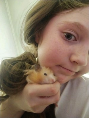 всем привет