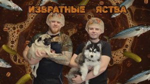 СЫТЫЙ ХАСКИ. ГАМБУРЛОДЕЦ С ЖАРЕНЫМ МАЙОНЕЗОМ