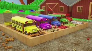 Изучаем цвета с детками! Колеса автобуса Колеса в форме футбольного мяча Детские песенки для малышей