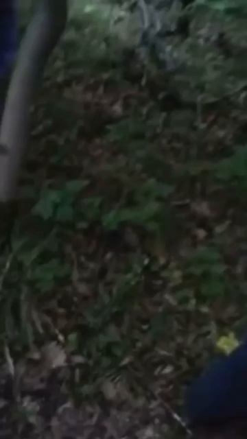 Работайте братья