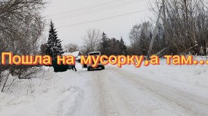 Пошла на мусорку,а там...06.02.25.