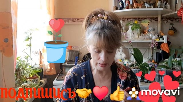 🖋️🚀Я ТАКИЕ ВАРИАНТЫ ДАЖЕ НЕ РАССМАТРИВАЮ 💃🔥МОИ БУДНИ 🚀🖋️ смотреть онлайн