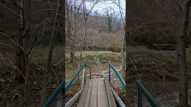 Сочи 🌴 Прогулка в Свирское Ущелье 🏔️🌄⛰️