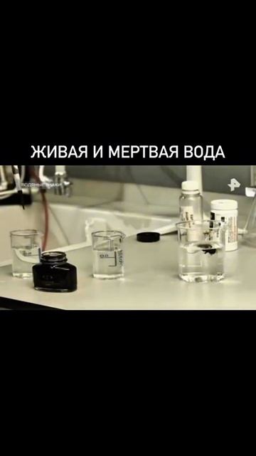 Разница между живой и мертвой водой🤔 → 👤 #Сергей_Жуков