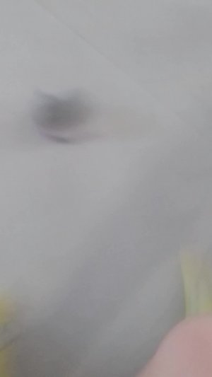 катаем мячики 4 часть