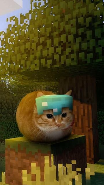 странно как-то вещи непонятные