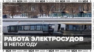 В Дептрансе рассказали о работе электросудов в Москве в непогоду - Москва 24