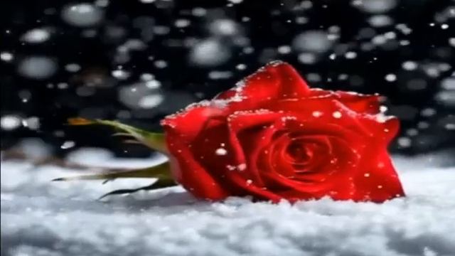 ДОБРЫЙ ВЕЧЕР! ПОЗОВИ МЕНЯ В ГОСТИ!