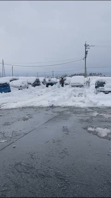 Откапываем и начинаем сгон машин на причал