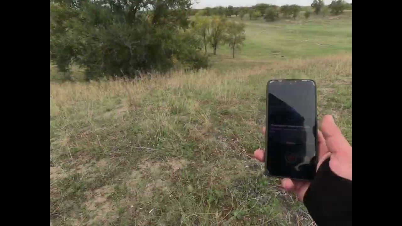 14 ноября 2025 г.