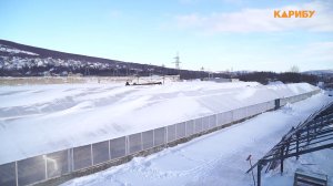 Магадан расцветает: в городе развивают тепличное хозяйство