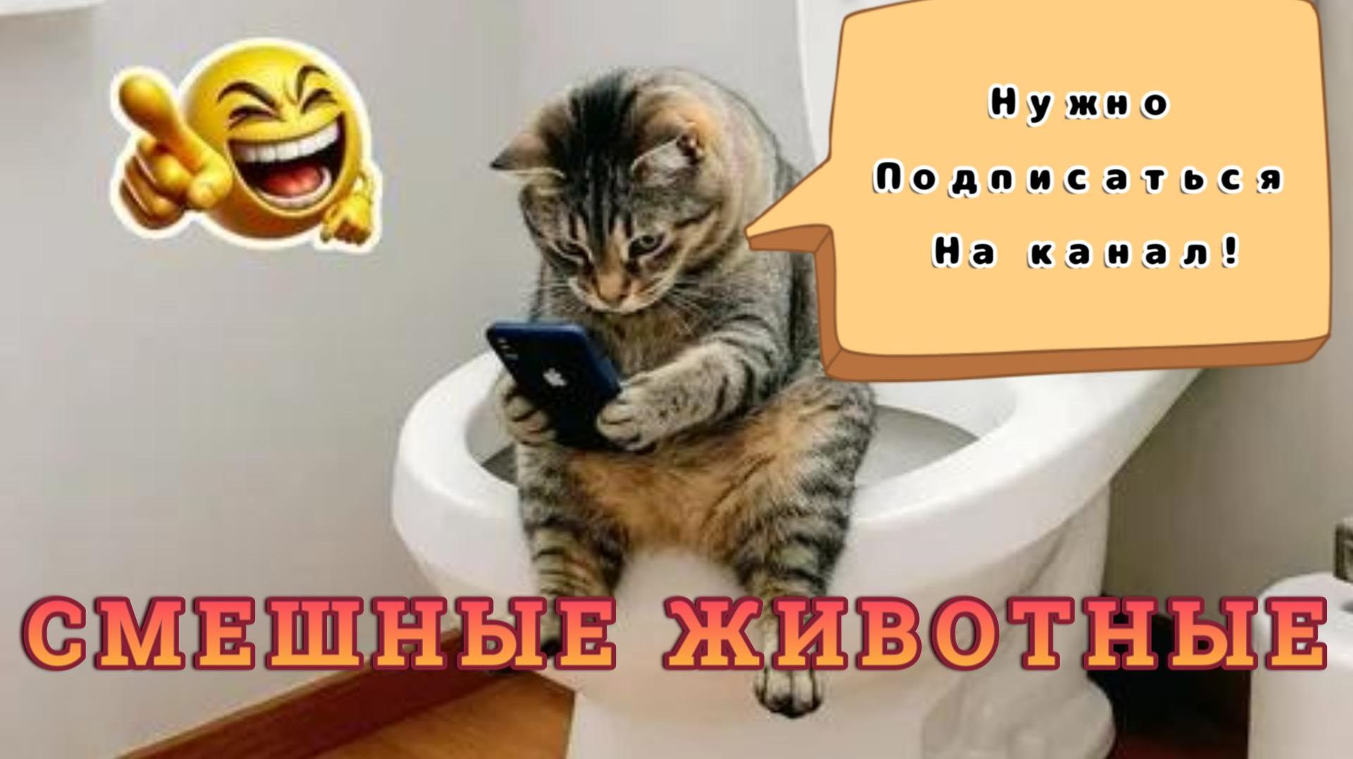 НЕВЕРОЯТНО СМЕШНЫЕ ЖИВОТНЫЕ 2026 ( приколы с животными )