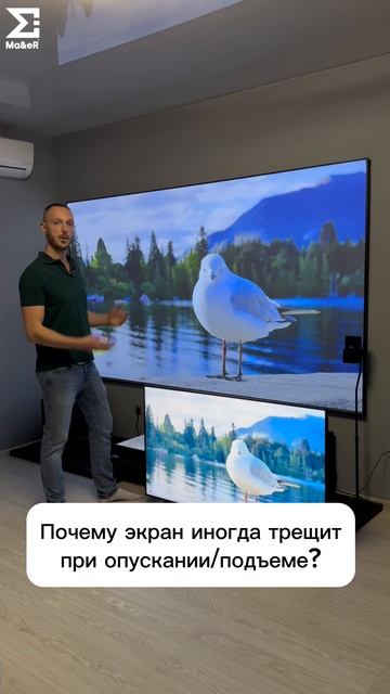 Почему экран иногда трещит при опускании/подъеме?